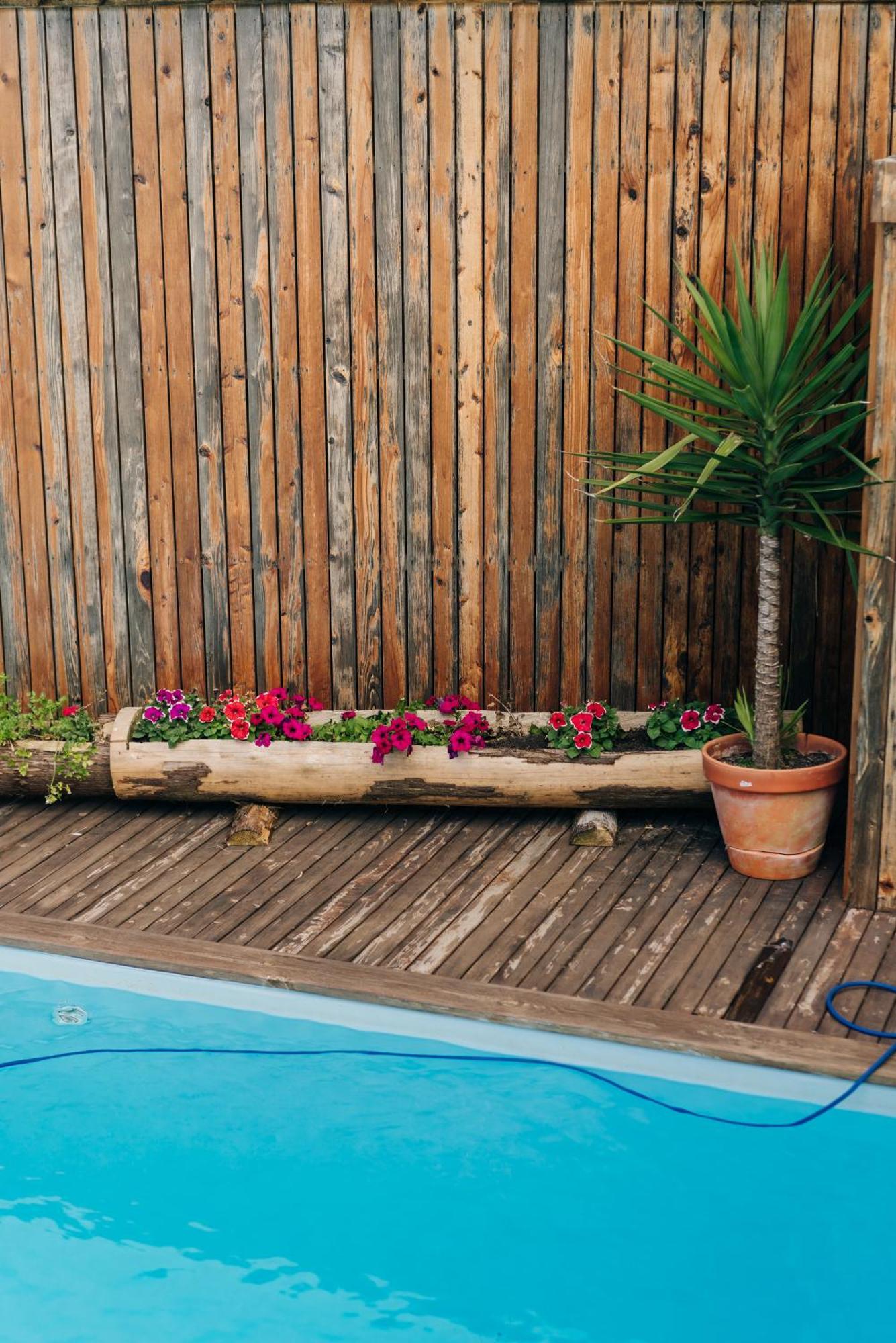 Hostel Azorazul - Pool & Suite Ponta Delgada Kültér fotó